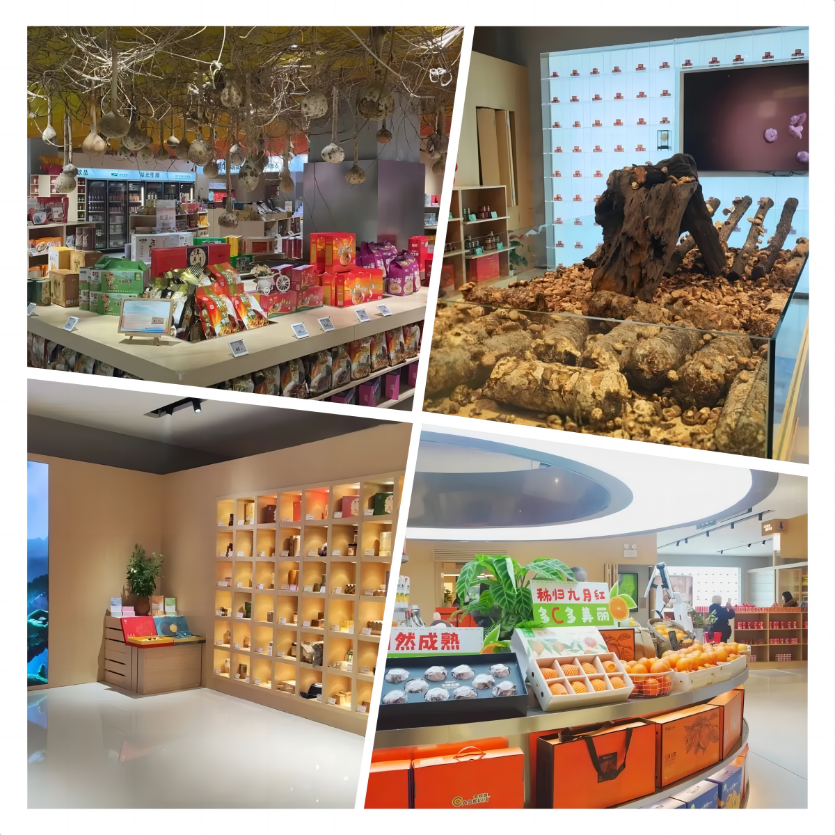 千亿国际(中国集团)唯一官方网站