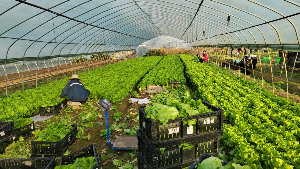 千亿国际(中国集团)唯一官方网站