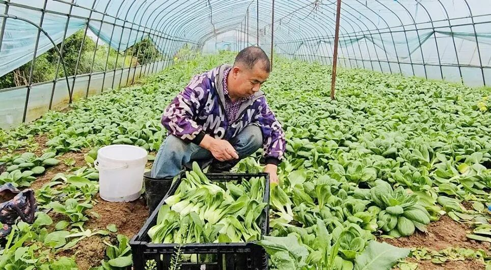 千亿国际(中国集团)唯一官方网站