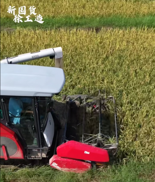 【稻花香里说丰年，听取蛙声一片】