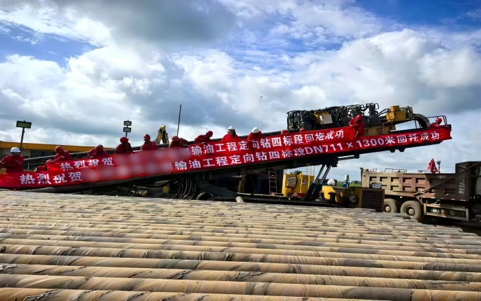 湿地穿越，NG官网水平定向钻机守护生态资源！